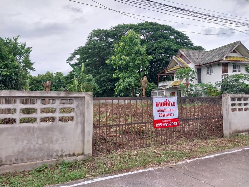 📍ขายที่ดินเมืองเชียงใหม่ (ใกล้เซ็นทรัลเฟสติวัล) 1งาน 23ตร.ว. 1