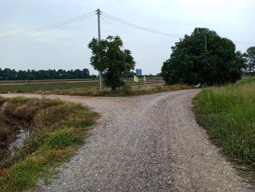 ขายที่ดิน 9.2 ไร่ พิษณุโลก ในเมือง 7