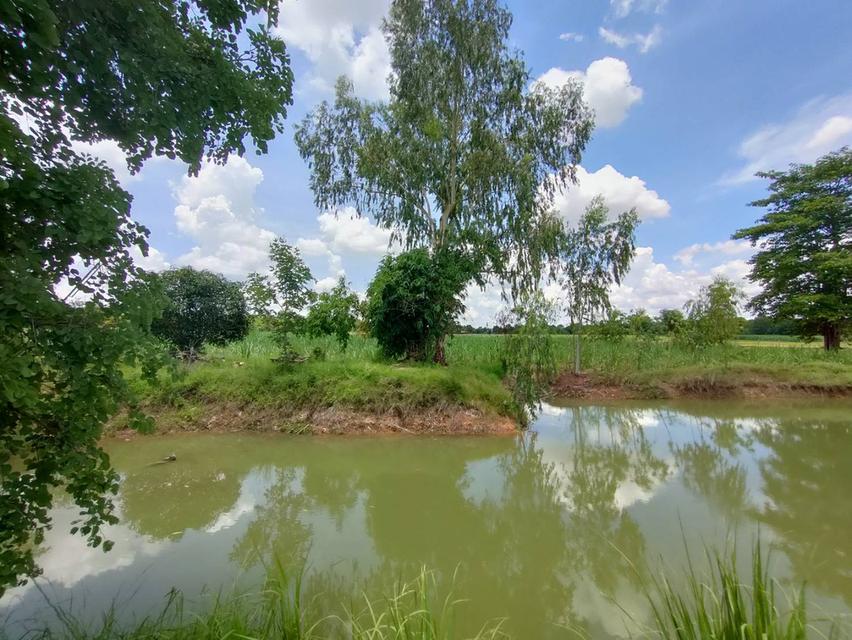 ขายที่ดินเขตอำเภอกระนวน 10 ไร่ 3 ตารางวา 9