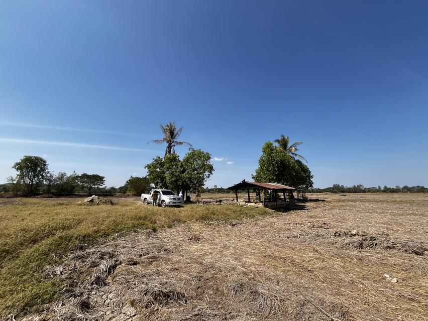 ขายที่นา ไม่ไกลจากตัวเมืองขอนแก่น 5