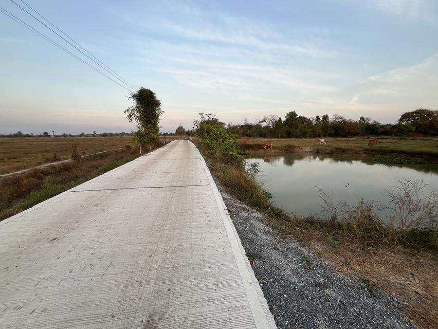 📌 ที่ดิน 76 ไร่ อำเภอดอนเจดีย์ จังหวัดสุพรรณบุรี 13