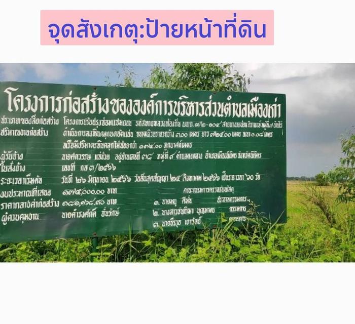 ขายที่ดิน 25 ไร่ ต.เมืองเก่า จ.พิจิตร 7