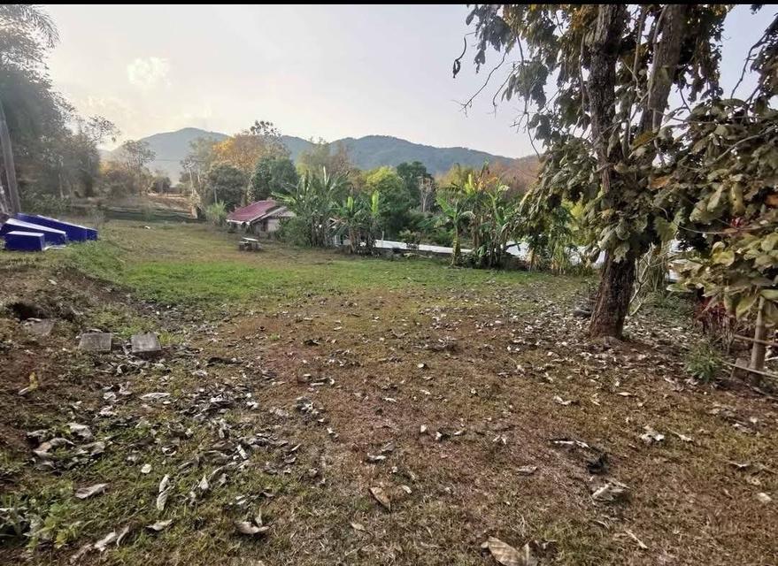 บ้านชั้นเดียวในพื้นที่1ไร่ 7