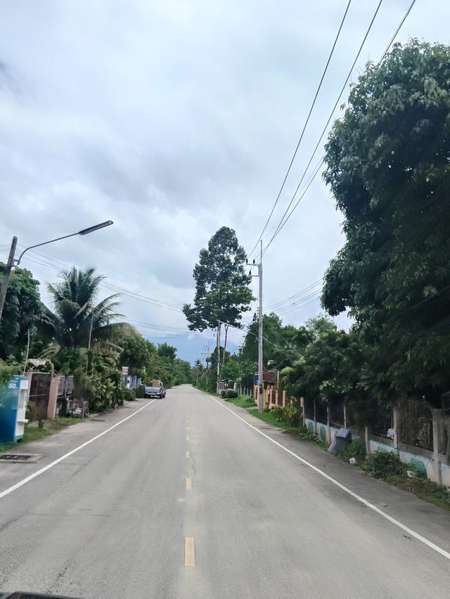 ที่ดินเปล่า เขตชุมชน ติดถนนดำ 6