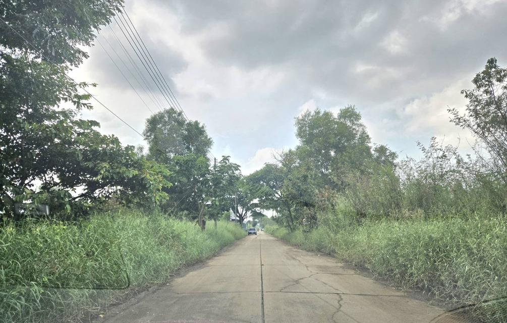 ขายที่ดินในโครงการจัดสรร 5-0-83 ไร่ คลอง 3 คลองหลวง ปทุมธานี 3