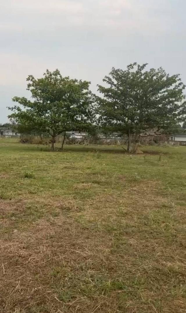 ขายที่ดิน จัดสรร ต.บ้านแหวน อ.หางดง จ.เชียงใหม่ 4