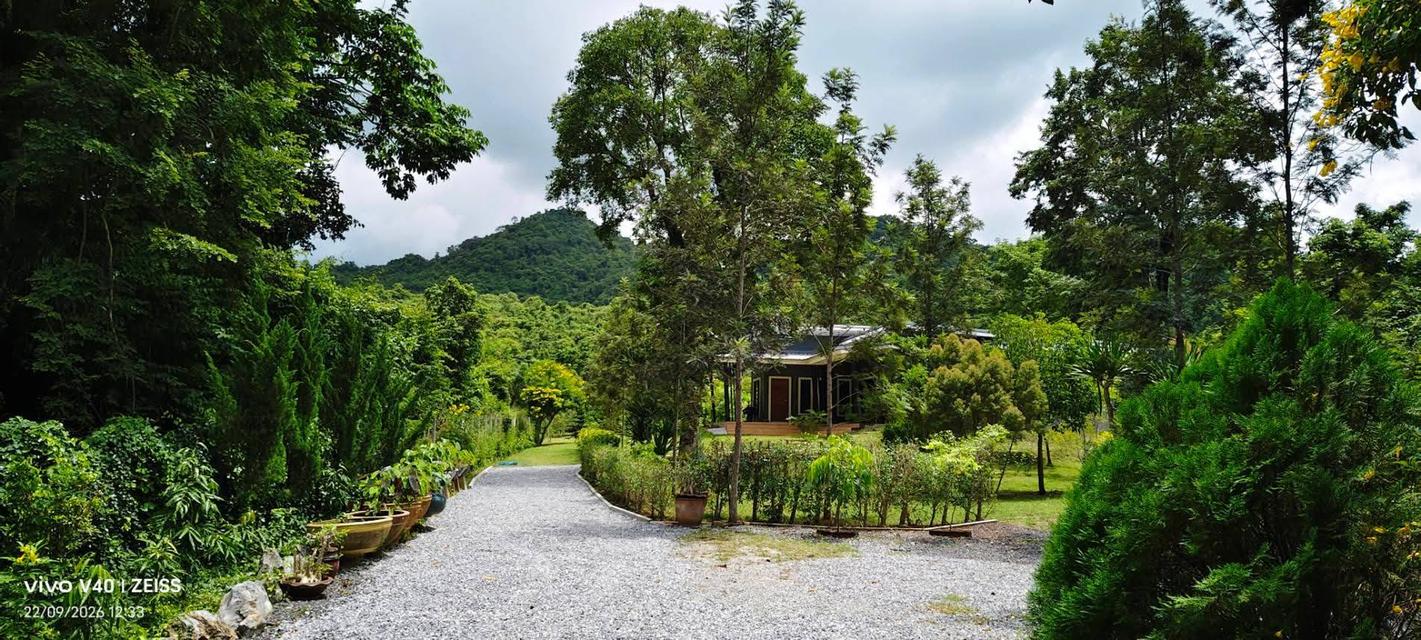 ขายที่ดินพร้อมบ้านเขาใหญ่ ปากช่อง 1.5 ไร่ หนองน้ำแดง ใกล้ถนนธนะรัชต์ มอเตอร์เวย์ M6 ห้างแม็คโคร วิวเขาสวยล้อมรอบที่สูงน้ำไม่ท่วม ใกล้โรงพยาบาล ตลาด 3
