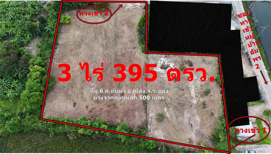 ที่ดิน ระยอง 3 ไร่ 395 ตารางวา 1