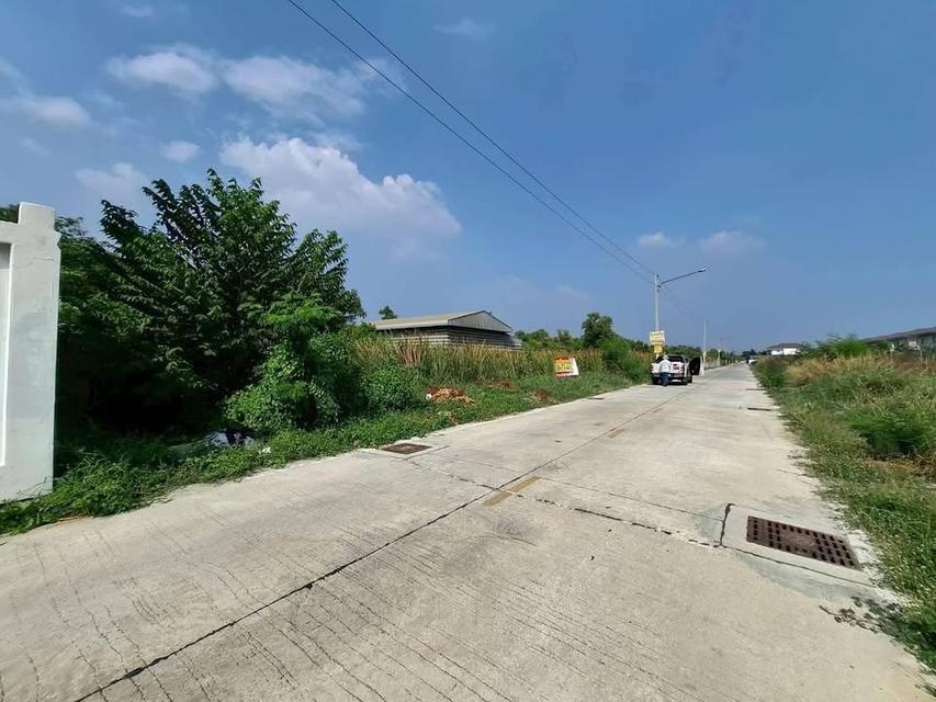 ขายที่ดินคลองสอง 1 ไร่) (ทำเลดี มีอนาคต จ.ปทุมธานี 2