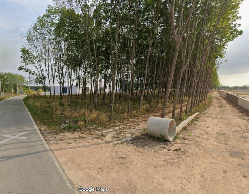 ขายที่ดิน 25 ไร่ มาบข่า ระยอง 3