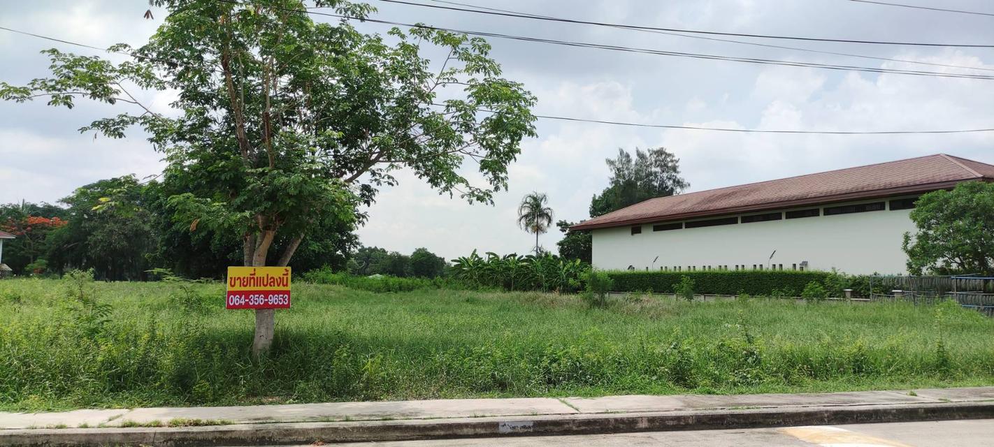 ที่ดิน 1 ไร่  ในสนามกอล์ฟ 8