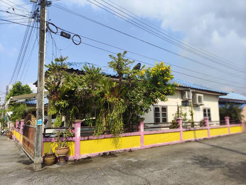 ขายบ้านเดี่ยว 52 ตรว. 1