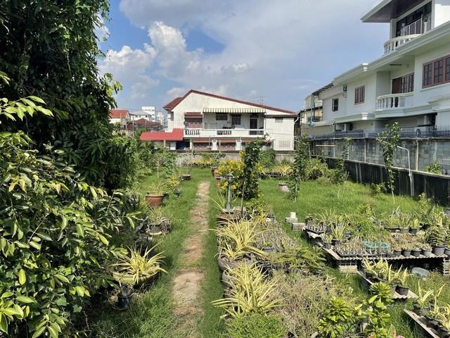 ขายที่ดิน 209 ตร.ว. สุขุมวิท77 อ่อนนุช 14 พื้นที่สีส้ม ซอยกว้าง เหมาะสร้างบ้าน สำนักงาน หรือธุรกิจ คาเฟ่ ร้านอาหาร สปา ใ 5