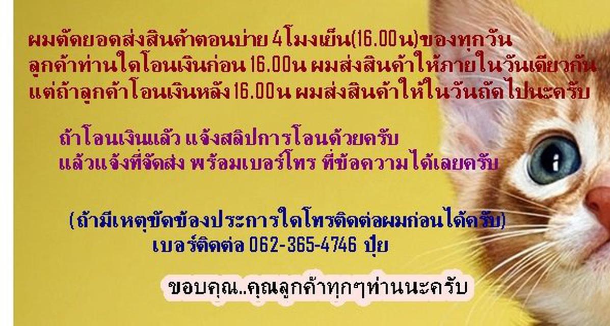 รูปถ่ายซีเปีย หลวงปู่เอี่ยมวัดหนัง รุ่นรับเสด็จ ยกช่อฟ้ามหามงคล ปี 2554 4