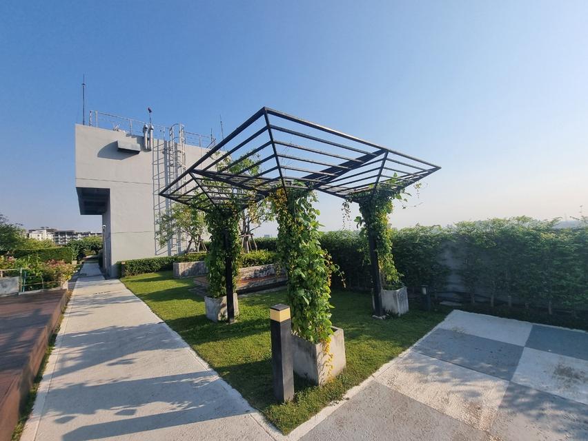 🏡 คอนโดให้เช่า – เข้าอยู่ได้เลย! 🚪✨📍 Aspire Ratchada - Wongsawang (ติด MRT วงศ์สว่าง) 12