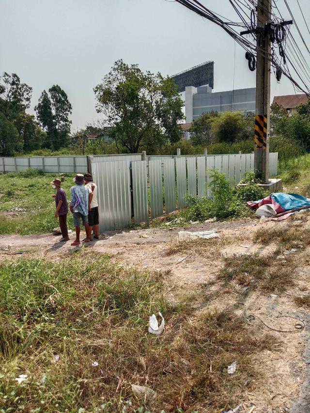 ขายที่ดินเปล่า บางปะอิน 1