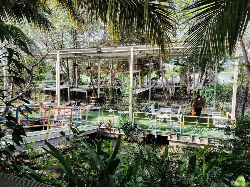 ที่ดิน 13