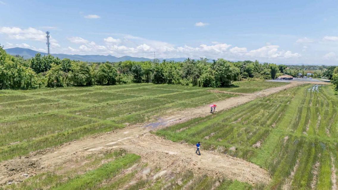 ขายที่ดิน ราคา3,980บาท/ตร.ว. ต.ป่าป้อง อ.ดอยสะเก็ด จ.เชียงใหม่ 13