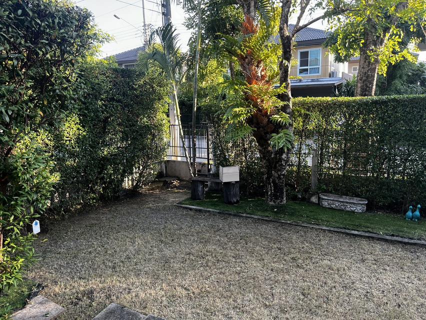 ให้เช่าบ้านเดี่ยว 55 ตรว. 2 ชั้น 3 ห้องนอน 3 ห้องน้ำ พร้อมเฟอร์และแอร์ทุกห้อง หิ้วกระเป๋าเข้าอยู่ได้เลย 3