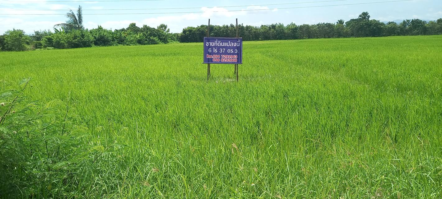 ที่ดินในอำเภอเมืองลำพูน 1