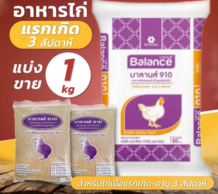 อาหารไก่แรกเกิด อาหารผสมสำเร็จ 2