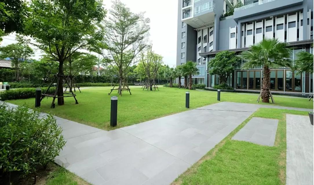 🔥ปล่อยเช่าด่วน🔥 ✨The Prodigy Condo MRT Bangkhae ตึก A ชั้น 29 ห้องขนาด 31 ตรม.✨ 4