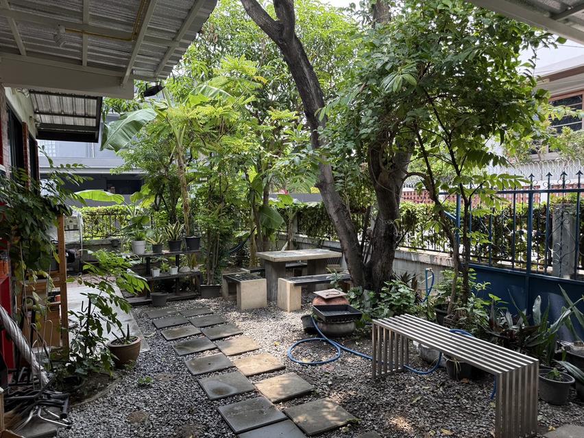 ขายบ้านเดี่ยว ย่านสะพานควาย หมู่บ้านจตุรมิตร ซอยประดิพัทธ์ 15 3