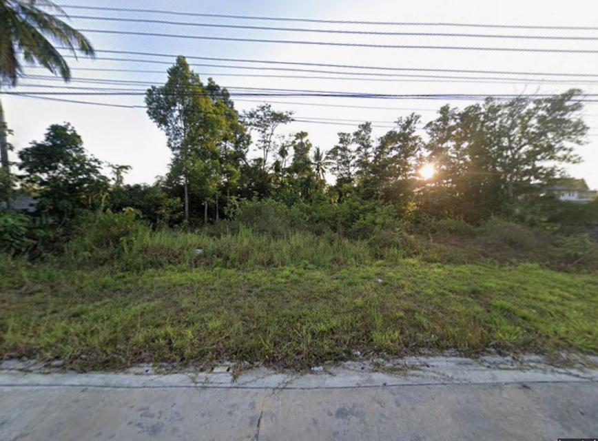 ขายที่ดินหาดใหญ่ 1 ไร่ 3 งาน 64.8 ตร.ว. ใกล้ถนนหมายเลข 2031 และตลาดท่าข้าม 1