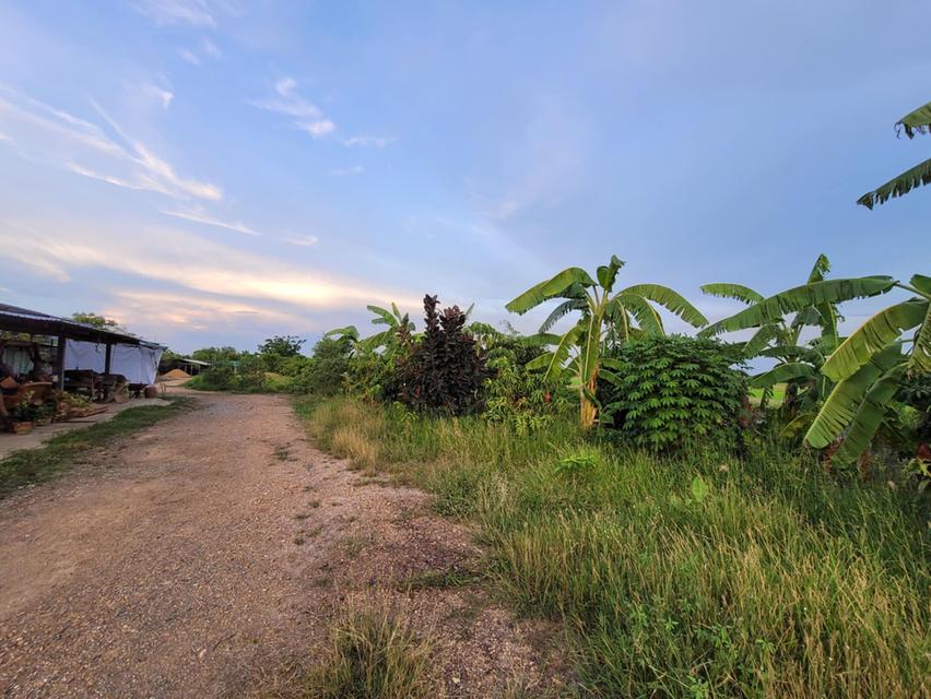 ขายที่ดินพร้อมสวน 7