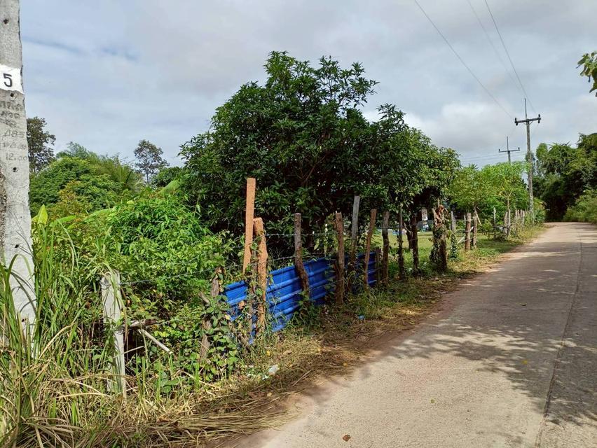 ขายบ้านจังหวัดมุกดาหาร บ้านเดี่ยว 2 ชั้น 1ไร่ 1งาน 30ตร.วา ราคา 1.7ล. 8