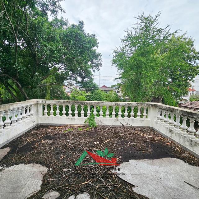 ขายโครงสร้างบ้านเก่าพร้อมที่ดิน ขนาด474ตรว. ซ.นนทบุรี8 ถ.เลี่ยงเมืองนนทบุรี13/1 ราคาพร้อมคุย 15