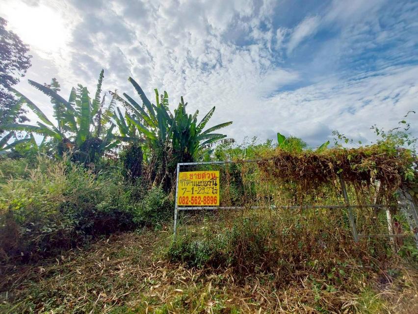 ขายที่ดินเปล่า ซอยบ้านวังทิพย์ ใกล้อ่างเก็บน้ําห้วยปรือ นครนายก 5