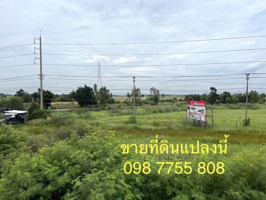 ขายที่ดินติดถนนสายเอเชีย ขาเข้ากรุงเทพ บางปะอิน อยุธยา 3