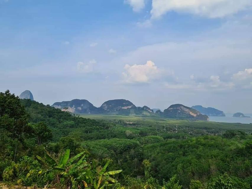 ขายที่ดินวิวอ่าวพังงา 360° ใกล้เสม็ดนางชี จ.พังงา (แบ่งขายได้)  📍 ต.คลองเคียน อ.ตะกั่วทุ่ง จ.พังงา 📍 ห่างเสม็ดนางชีเพียง 2 กิโลเมตร 8