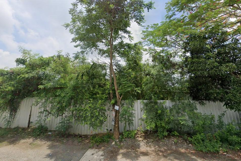 ขายที่ดินคลองห้าถมแล้ว 200 ตรว. ซอยโรงเรียนทีปังกรวิทยาพัฒน์ ใกล้ถนนเส้น3010-300เมตร อ.คลองหลวง ปทุมธานี