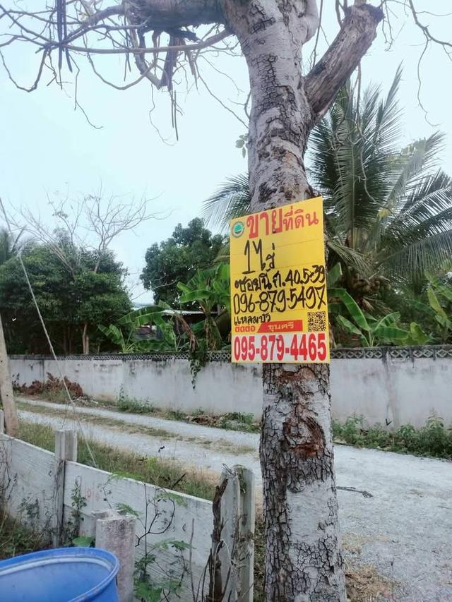 ขายด่วนที่ดิน 400 ตารางวา ติดถนนหินคลุกสาธารณะ อ.นครชัยศรี จ.นครปฐม 1