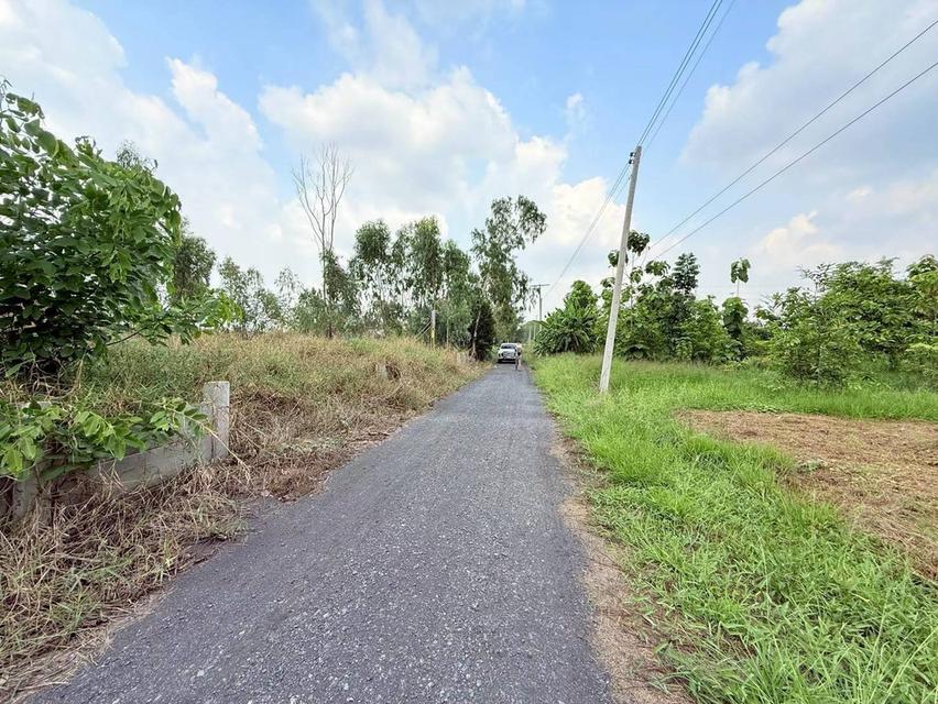 Vายที่ดินใกล้เวิร์คพอยท์ 218 ตารางวา ถมสูงทั้งแปลง ถนนเลียบคลองเปรม  อ.เมืองปทุมธานี จ.ปทุมธานี 3