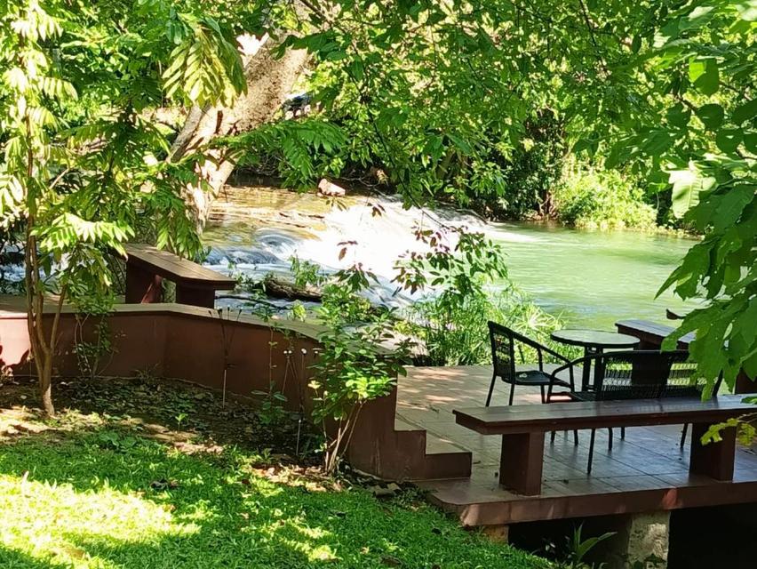 ขาย ที่ดิน ทำเลมาแรงบ้านพักตากอากาศ 209 ตร.วา ติดคลองมวกเหล็ก ใกล้บ้านพักเดลี่โฮม ปากช่อง. 3