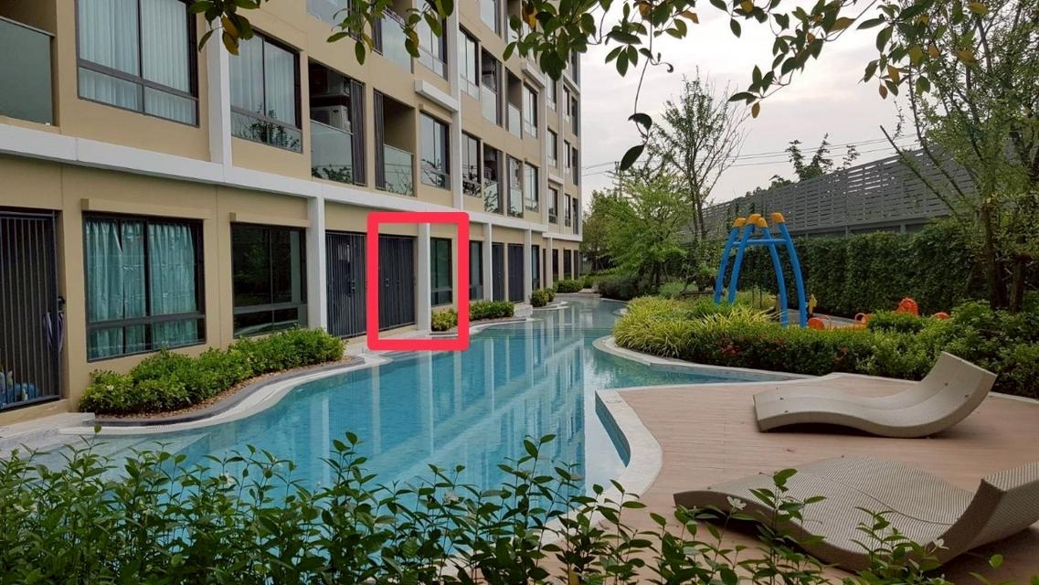 ขายด่วนคอนโด Polis Condo สุขสวัสดิ์ 64 ห้อง Pool Access ขนาด 34.96 ตารางเมตร 1