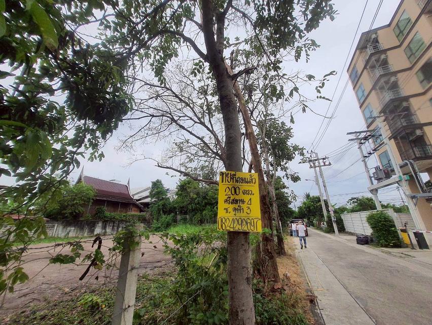 Vายด่วน ที่ดินใกล้โรบินสันศรีสมาน 200 ตารางวา ติดถนนคอนกรีตสาธารณะ ถมแล้ว ซอย จุฬา 3 อ.ปากเกร็ด จ.นนทบุรี 5