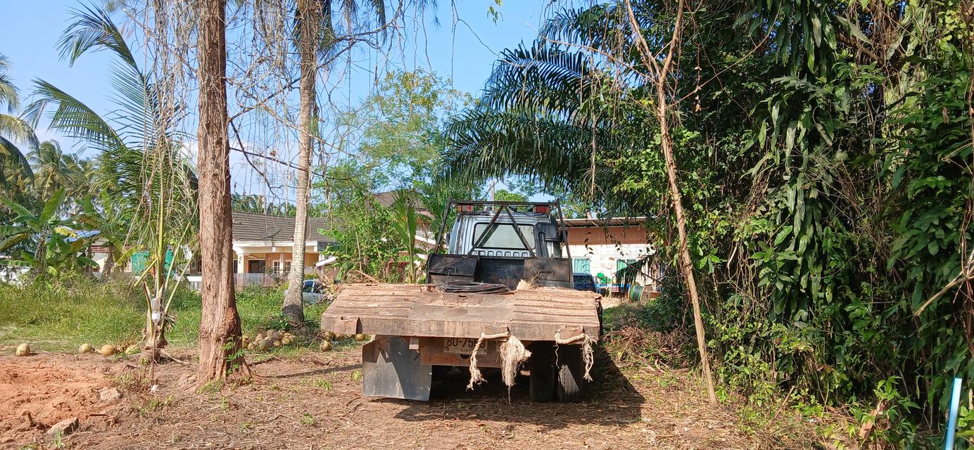 ขายที่ดินเปล่าโฉนด 1 งาน 14 ตร.ว. อยู่ในชุมชน ต.นาชะอัง อ.เมืองชุมพร ห่างศาลากลางจังหวัดเพียง 3 กม. ที่เนินปลอดภัยจากน้ำท่วม เจ้าของเองครับ 10