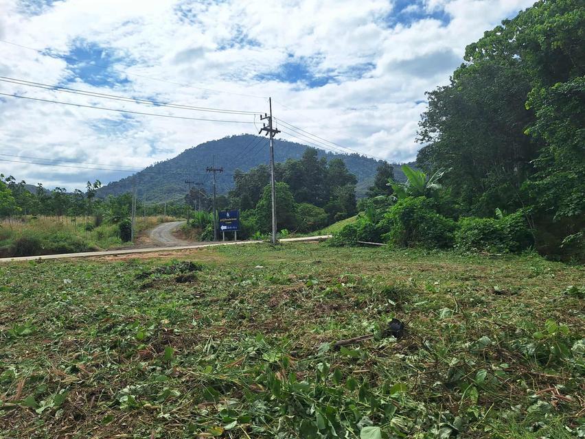 ที่ดินวิวเขาติดลำธาร ระยอง 7