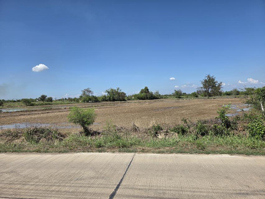 ที่ดิน อ.ภาชี จ.อยุธยา 1