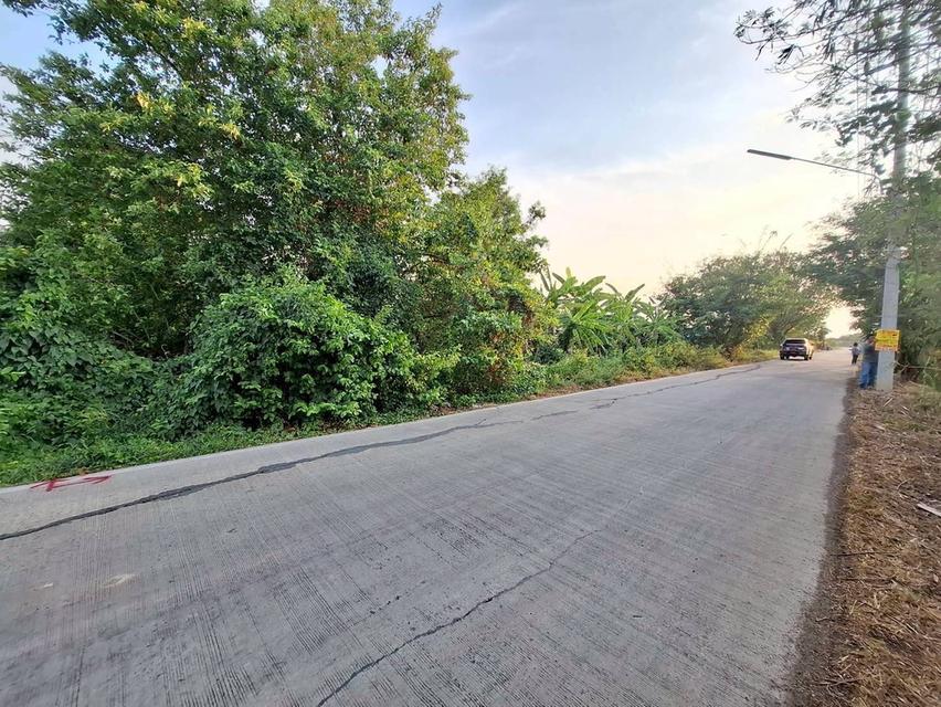 ขายถูกที่ดิน 831 ตรว ติดถนนคอนกรีตสาธารณะ ซ.คลองหก ตต.19 คลองหลวง ปทุมธานี 7