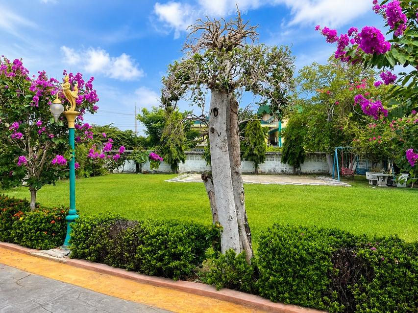 ✨ ขายคฤหาสน์หรู Grand Luxury Mansion | เมืองฉะเชิงเทรา ✨ 10