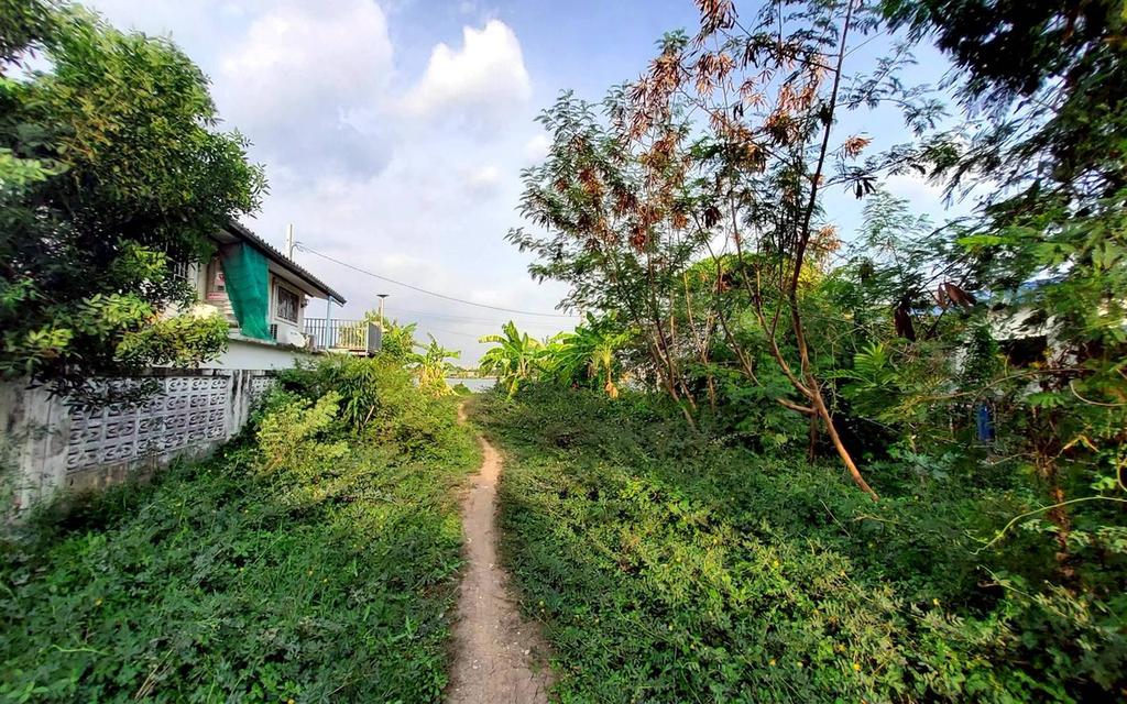ขายที่ดินวิวแม่น้ำเจ้าพระยา 148 ตรว ติดถนนสาธารณะ ถมแล้ว ซ.วัดตาล บางตะไนย์ ปากเกร็ด นนทบุรี 1