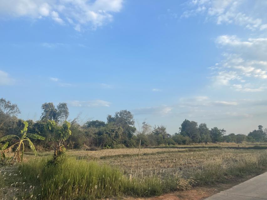 ขายที่ดินในเขตเทศบาล 1 ไร่ 2 งาน 76 ตรว. 2