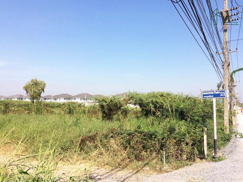 ที่ดิน 2 แปลง 7 ไร่ 1งาน 43 ตร.วา รังสิตคลองหก ถนนคลองตะวันตก 21 ปทุมธานี ใกล้ ม.เทคโนโลยีราชมงคลธัญบุรี 3