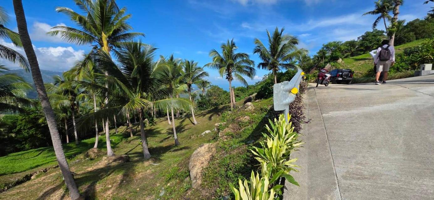 ที่ดินซีวิวบนเกาะสมุยอากาศดีถนนไฟฟ้าพร้อม 6