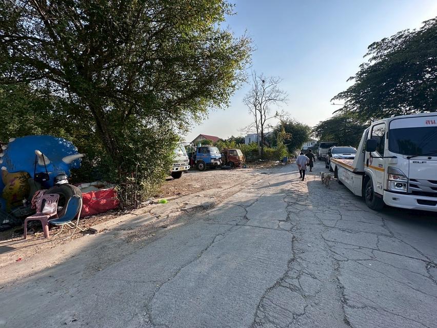 ที่ดินเปล่า 4